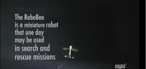 Robobee